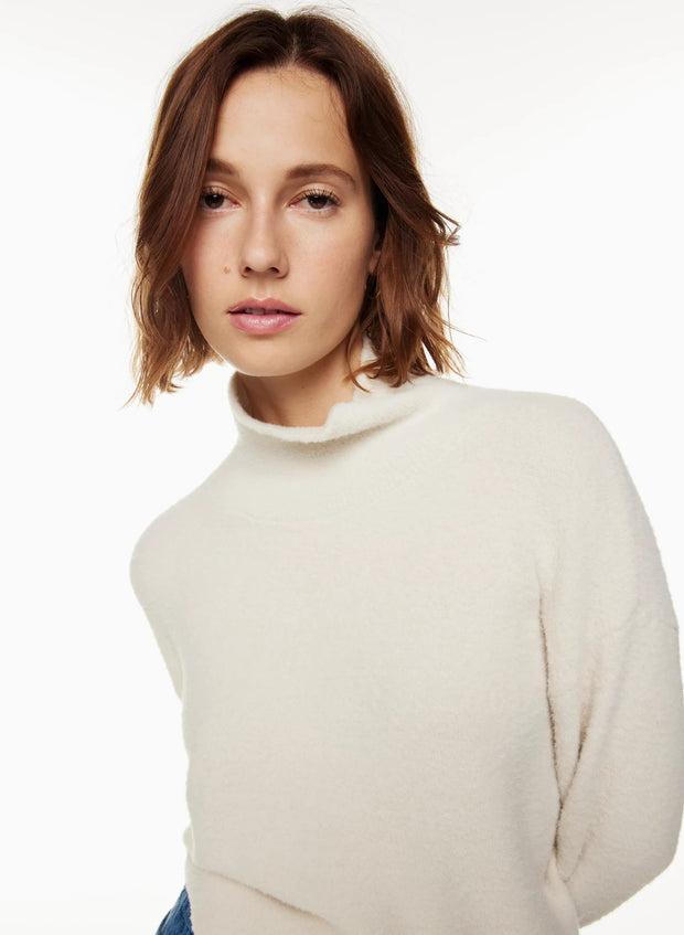 Hush Knit Turtleneck